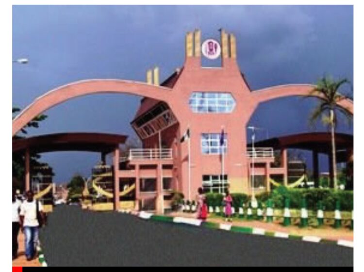 UNIBEN appoints new VC