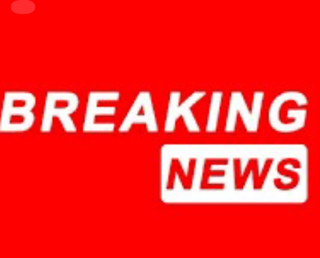 5 ways to stop hoarding behaviour