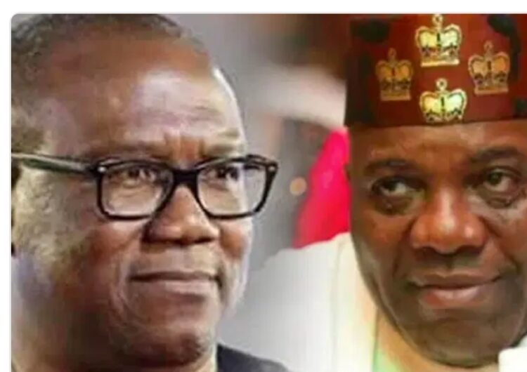 Why I can’t support Peter Obi again – Doyin Okupe