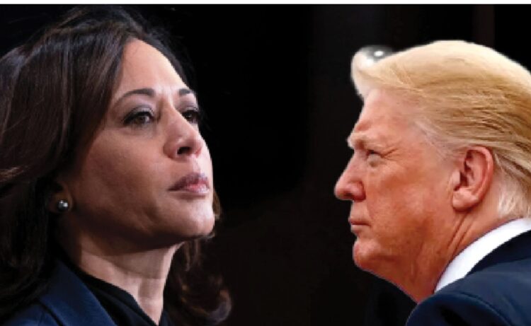Trump, Harris: The journey through campaigns, victory & defeat
