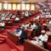 Senate declares two seats vacant, orders INEC to conduct by-election