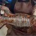 Illegal And Health Risks Of Consuming Crocodile Meat In Nigeria
