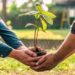 Title: “Trees for Life: Why Planting More Means Living Better”