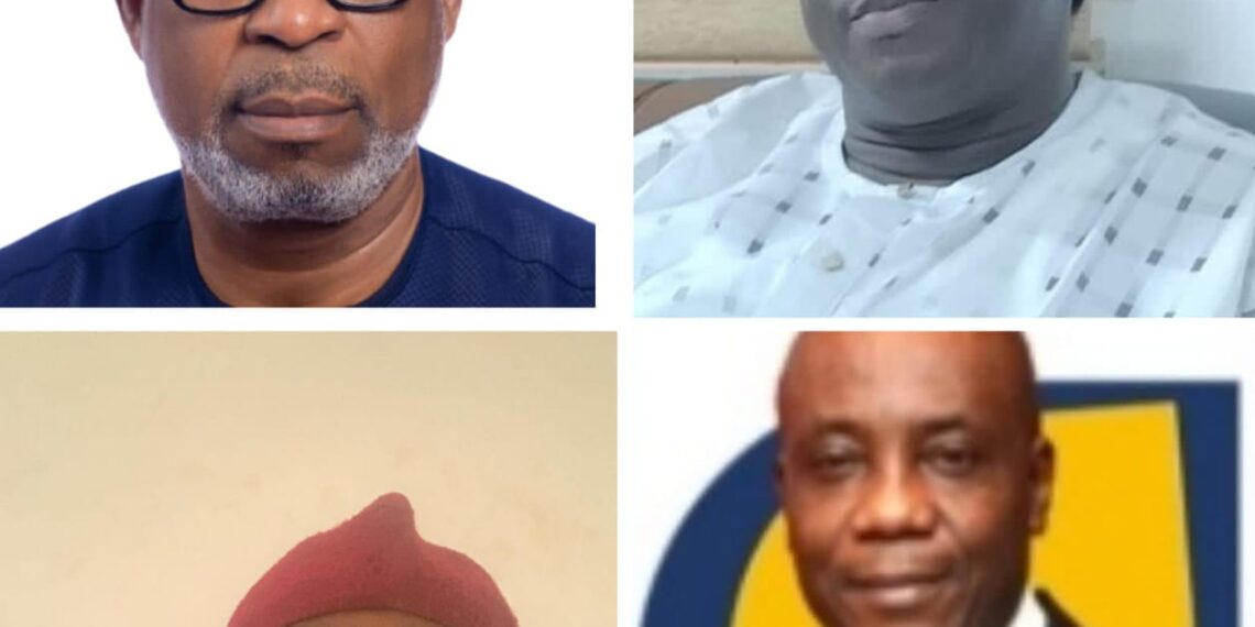 NGO Applauds Minister Dele Alake for Transformative Contributions to National Development