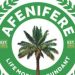 Afenifere warns against plot to scuttle Tinubu’s second term ambition