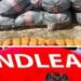 JUST IN: NDLEA Destroys 28,000kg Skunk in Edo Forest