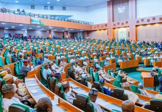 Party expels House of Rep member for backing Soludo