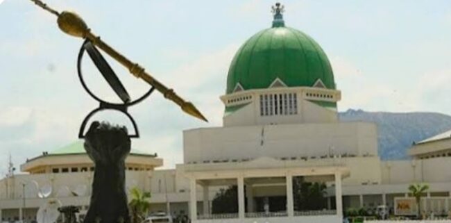 N’Assembly set to produce final draft of constitution review