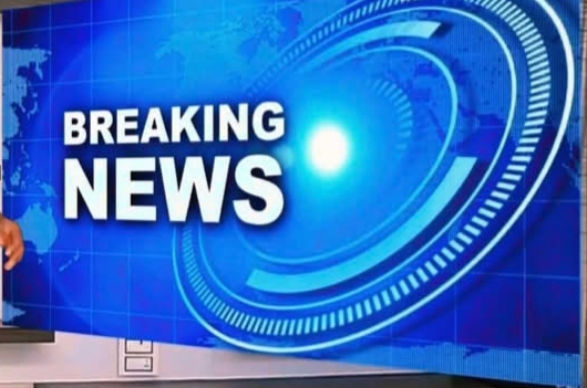 Nigerian tycoon Solomon Onafowokan opens Africa’s largest fibre-optic cable plant